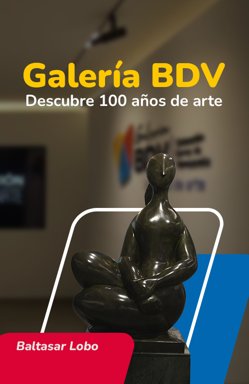 BANNER GALERIA RESPONSIVE